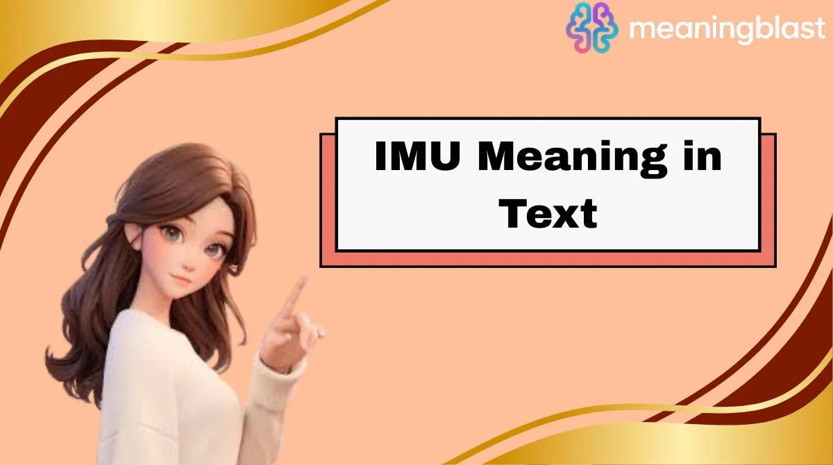 IMU Meaning in Text
