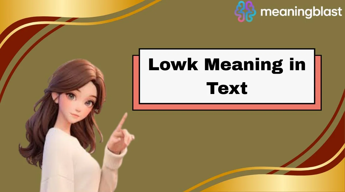 Lowk Meaning in Text