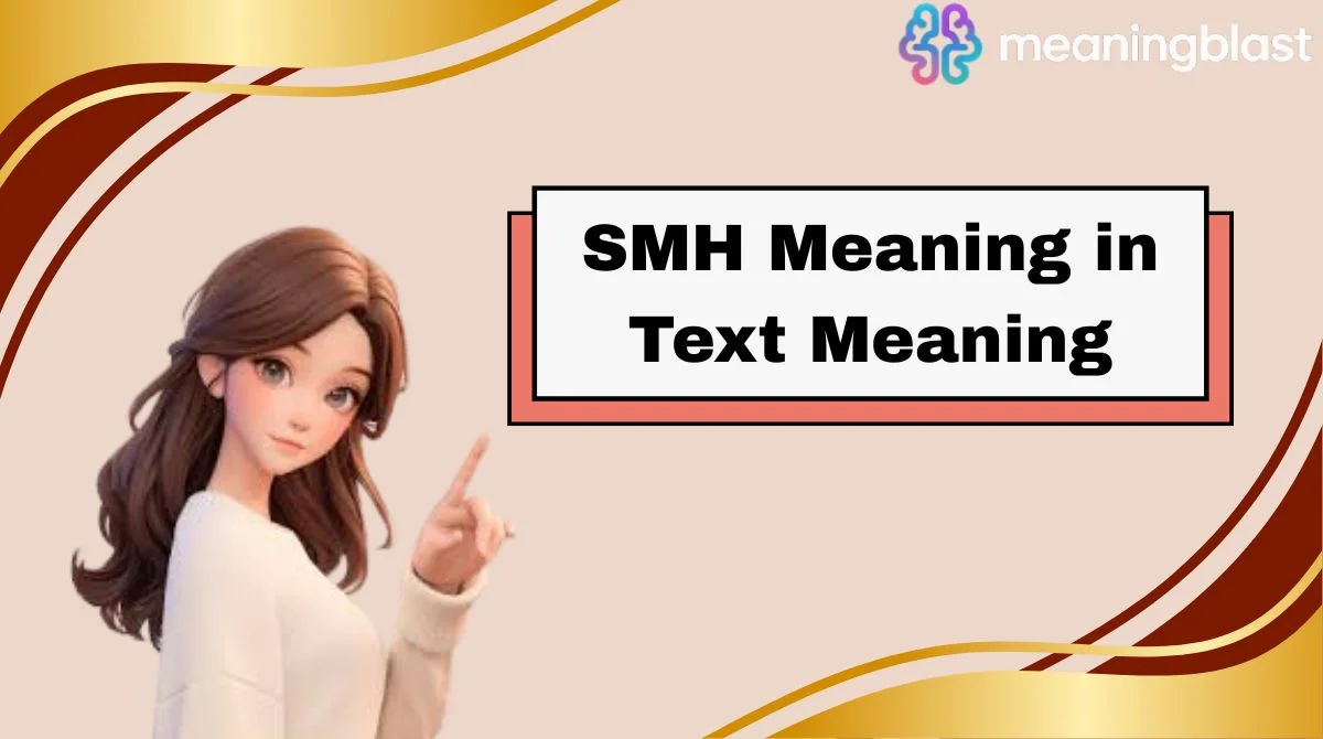 SMH Meaning in Text Meaning