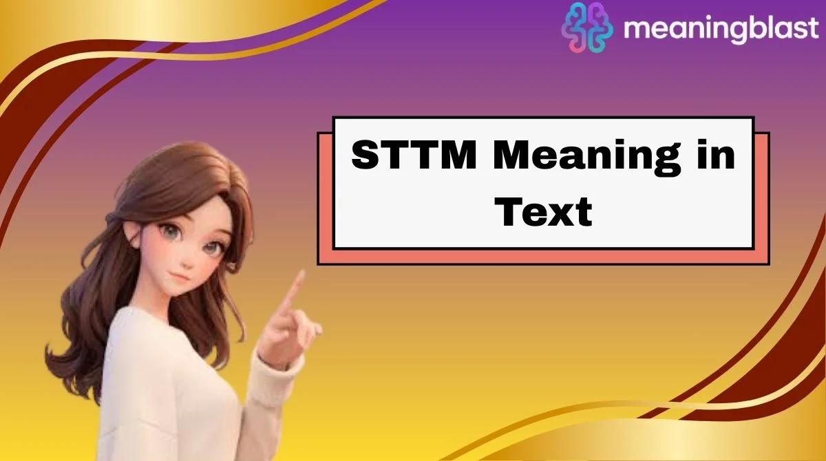 STTM Meaning in Text