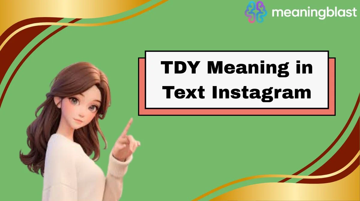 TDY Meaning in Text Instagram