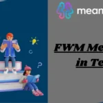 FWM Meaning in Text