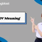 POV Meaning