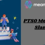 PTSO Meaning Slang