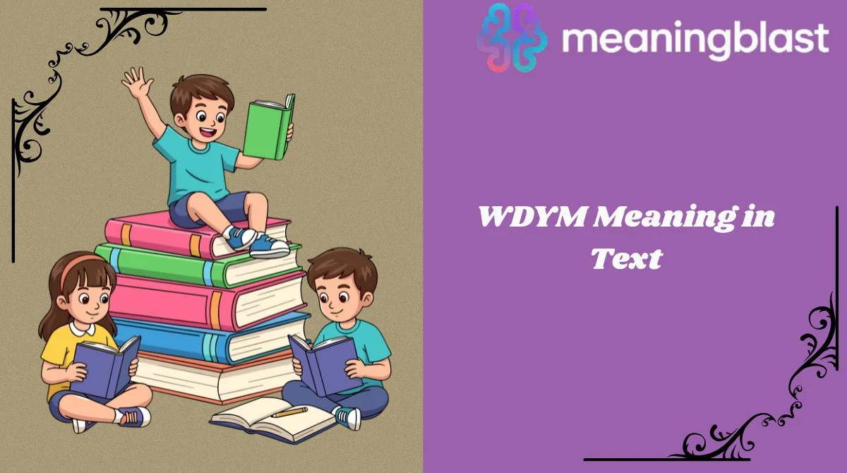 WDYM Meaning in Text