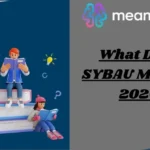 What Does SYBAU Mean in 2026