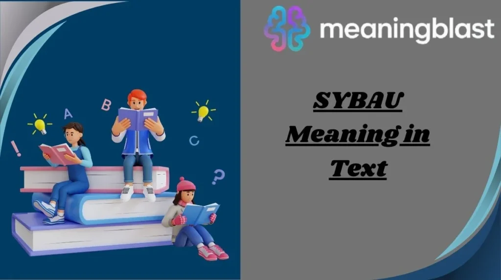 SYBAU Meaning in Text