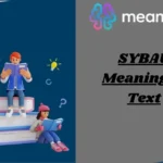 SYBAU Meaning in Text